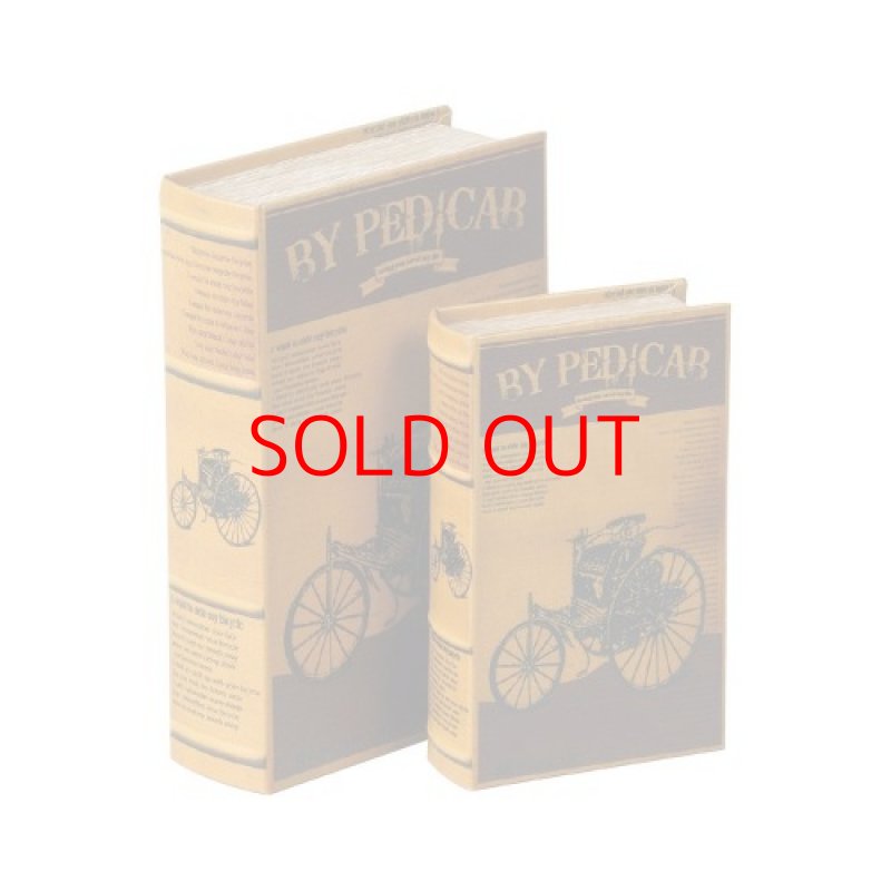 画像1: 〇東洋石創 小物入れ BOOK BOX 表紙オープンタイプ 2個セット 28433 [ B0105A9C94 / 4571361749984 / / ] (1)