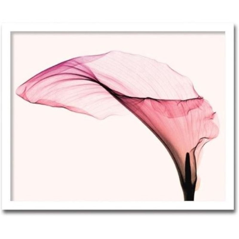 画像1: ☆K-ART.JAPAN 絵画 インテリアアート Steven N.Meyers W810xH650xD15mm 絵画 「Giant Calla」 AS-11394 [ B00B5ZGFQM / 4580233083941 / NO.919 / ] (1)