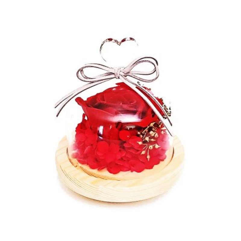 画像1: ◇ガラスドームアレンジメント プリザーブドフラワーアレンジメント フラワーギフト ハート B135 (レッド) [ B08HCW7H9M / 4582596341355 / / 3 ] (1)