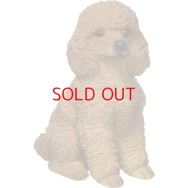 画像1: ◯東洋石創 ドッグオーナメント トイプードル インテリア W85×H175×H145mm [ B06ZZB26J6 / 4589912092601 / ] (1)