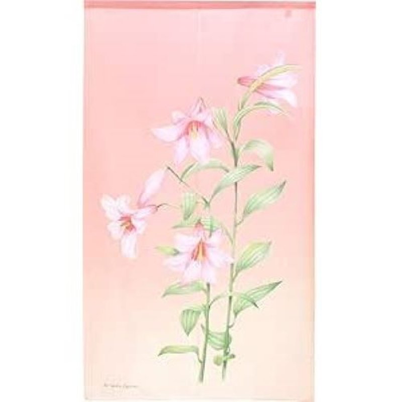 画像1: 〇のれん工房　85×150cm ロング (ピンク) オトメユリ 10739 [ B085ZW8SN9 / 4943741000655 / / ] (1)