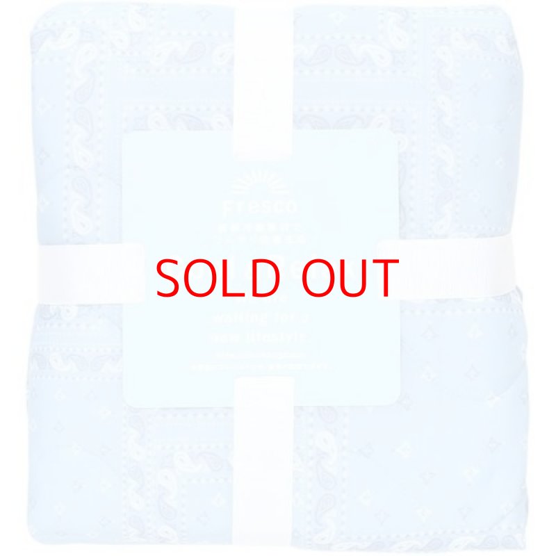 画像1: ☆センバドー フレスコ冷感敷きパッド ペイズリー 1000×2050mm [ B08Z3VRPSD / 4950929977012 / NO.991 / ] (1)