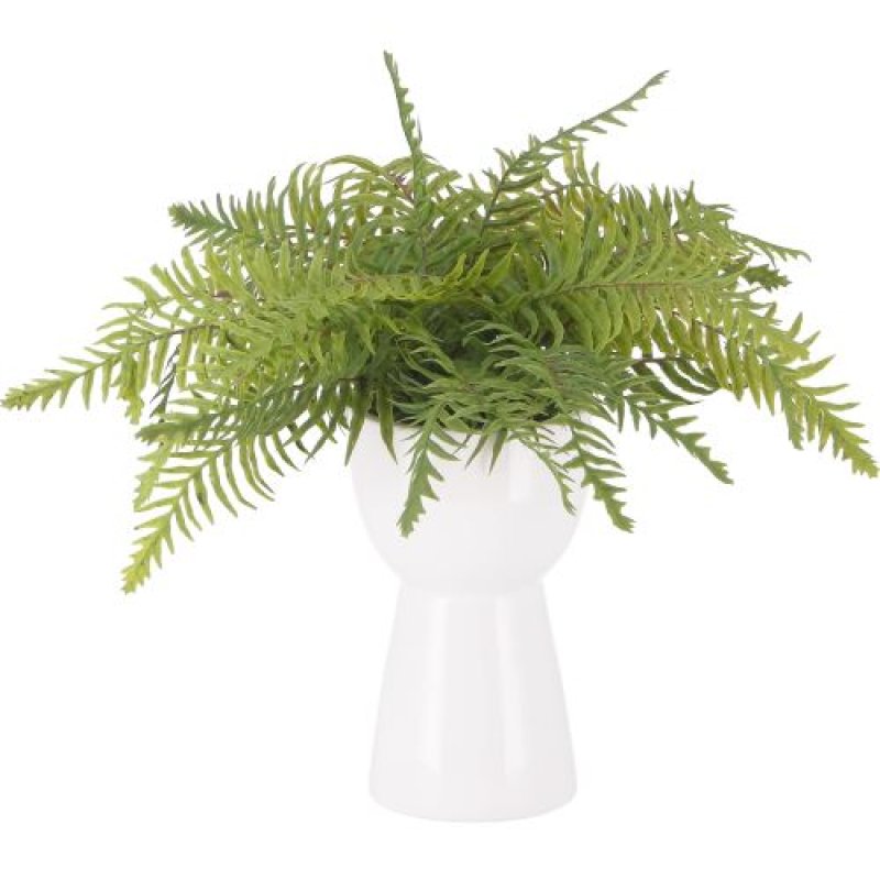 画像1: 不二貿易 フェイクグリーン インテリアグリーン 人工観葉植物 幅42×奥行45×高さ40cm シダ 卓上 セラミックポット ミニ 41131 小型 [ B0BTH51VSP / 4953980411310 / 41131 ] (1)