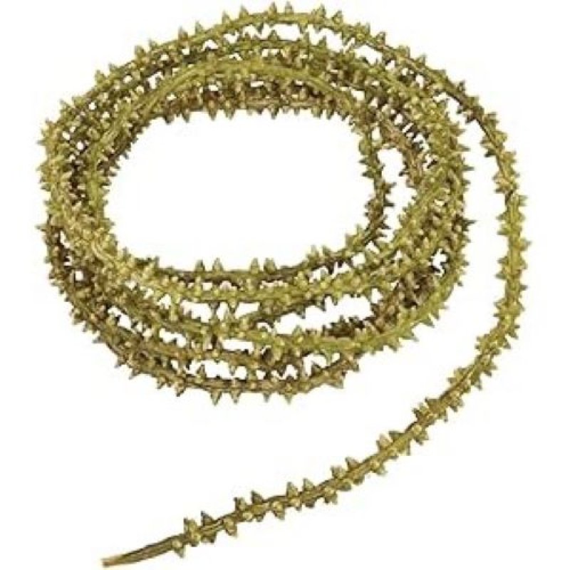 画像1: ◯東京堂 造花 MAGIQ #ライトグリーン [ B07BB2XRCX / 4967116466693 / ] (1)