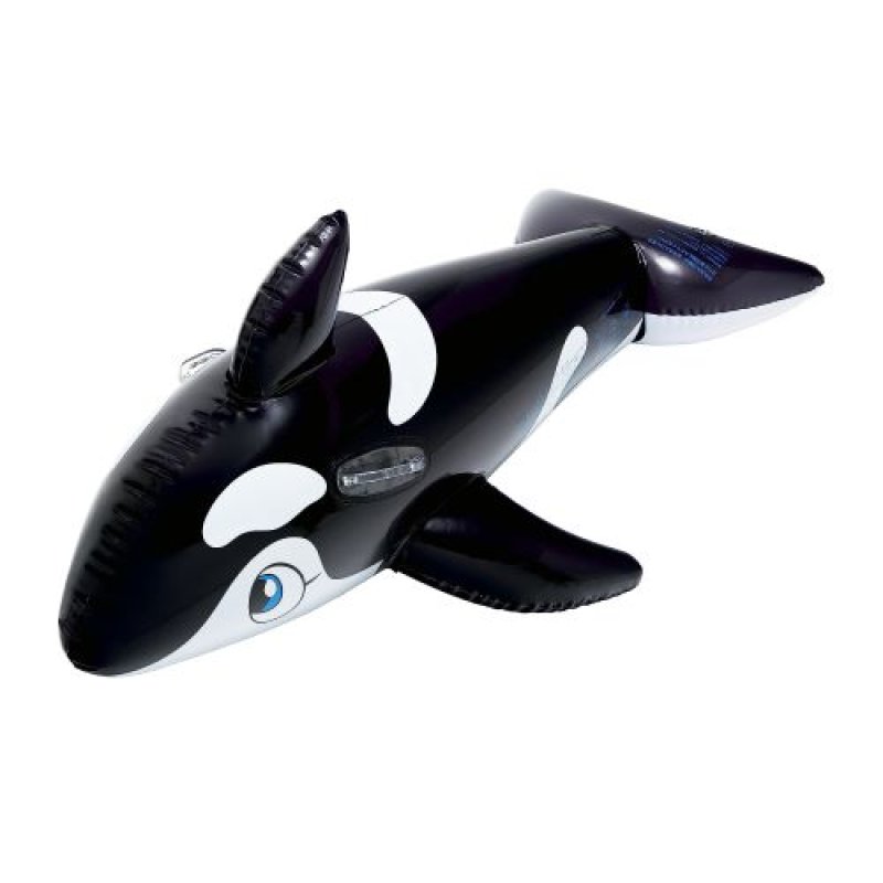 画像1: イガラシ ミニシャチフロート（ブラック） 130×83cm FRB-179V [ B0C9PPBB7F / 4970134350295 / FRB-179V ] (1)