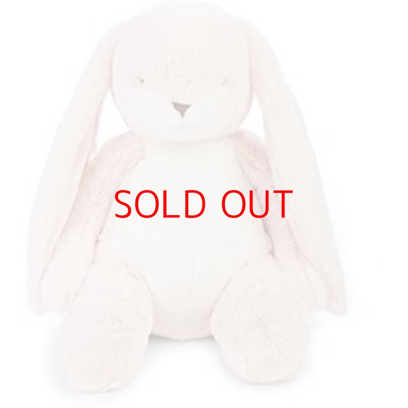 画像1: ◯Bunnies By The Bay日本正規代理店 バニーズバイザベイ Nibble Bunny Big うさぎのぬいぐるみ ピンク [ B07T4P2364 / 843584013437 / ] (1)